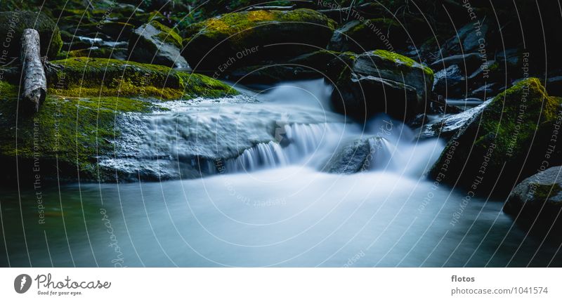 little niagara falls =) Natur Wasser Herbst Moos Wald Flussufer Bach Flüssigkeit frisch nass blau gelb grün schwarz weiß Langzeitbelichtung Farbfoto