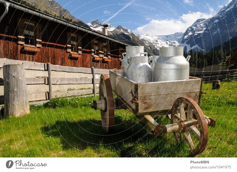 Auf der Alm Milcherzeugnisse Bioprodukte Ferien & Urlaub & Reisen Tourismus Ausflug Abenteuer Freiheit Sommer Sommerurlaub Berge u. Gebirge "Alm Tirol
