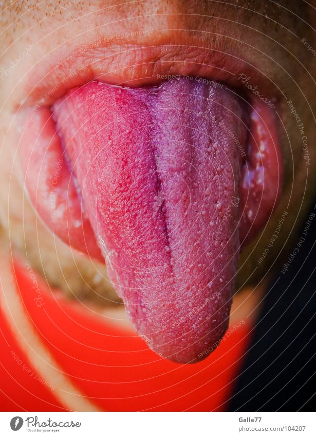 Farbe bekennen Ernährung Organ süß bitter salzig Gefäße Unsinn Freude Zunge Verkehrswege zeigen Putztuch Mund Spitze berühren Wut muskelfaser lustig