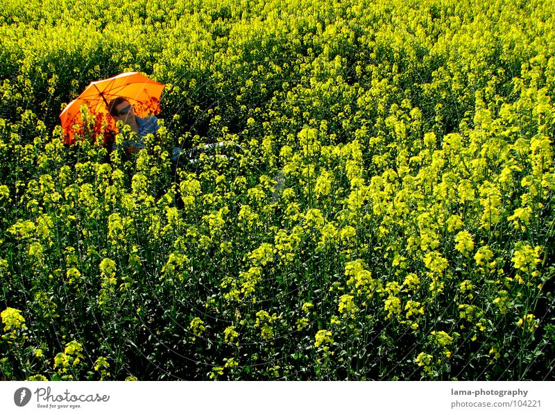 Chill Out genießen Sonnenbad ruhig träumen liegen Sommer Raps Rapsfeld Feld Wiese Ackerbau Landwirtschaft Frühling springen Ähren gelb Blume Erholung