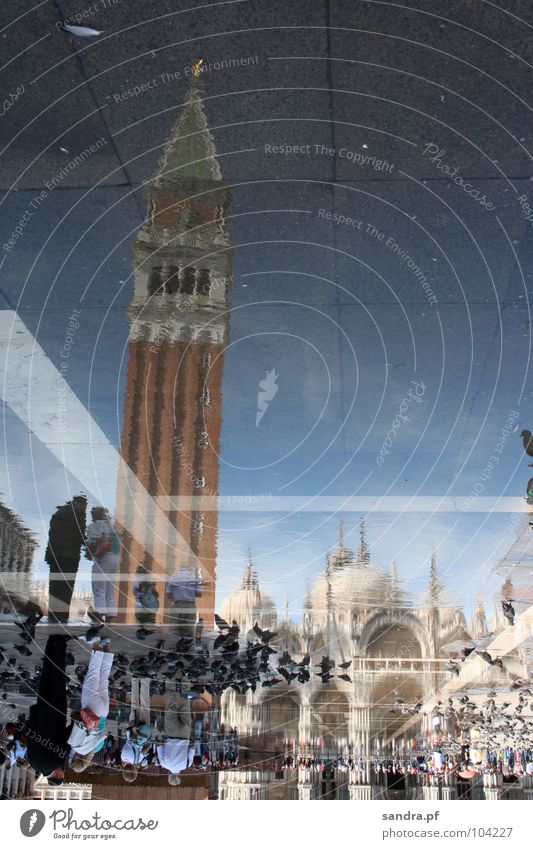 Gespiegelte Welt II Venedig San Marco Basilica Platz Taube verkehrt Reflexion & Spiegelung Gotteshäuser Verkehrswege Italien Wasser Turm Religion & Glaube Dom