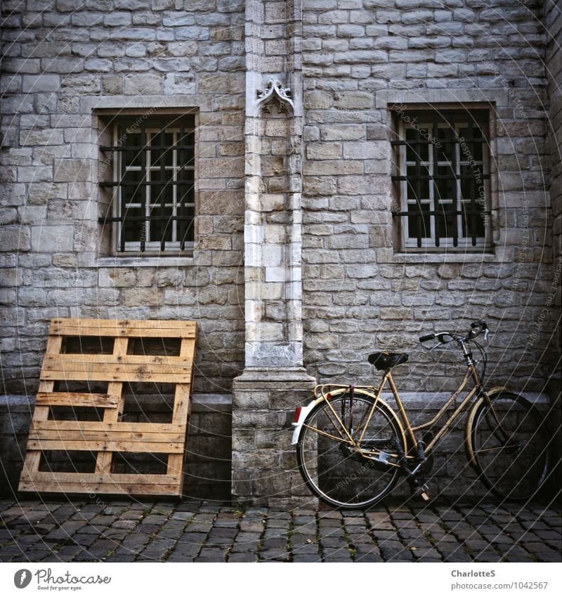 Statt Mauern Stil Fahrradtour Niederlande Fahrradfahren Architektur Kleinstadt Stadtrand Burg oder Schloss Ruine Marktplatz Rathaus Bauwerk Gebäude Wand Fassade