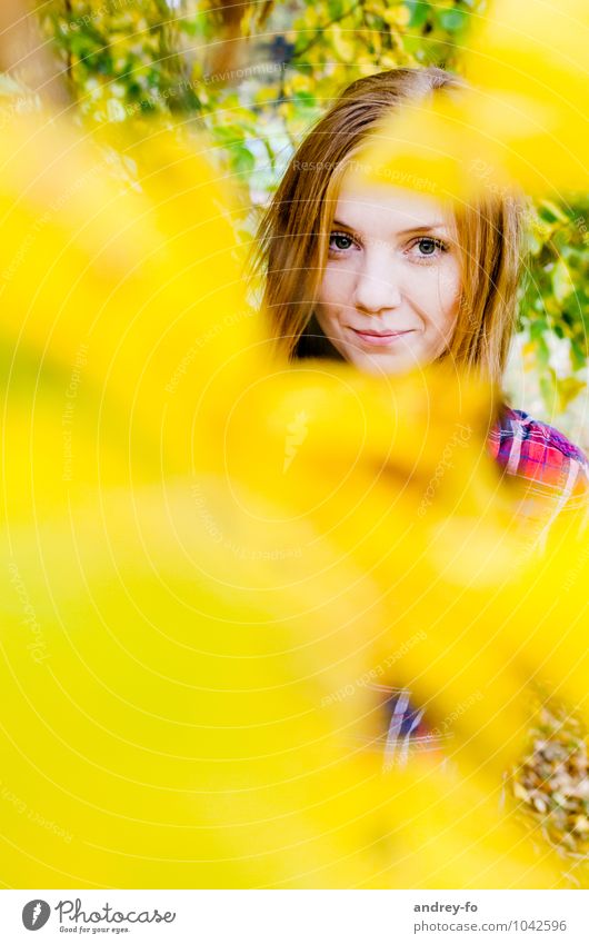 Herbstliches Porträt feminin Junge Frau Jugendliche Erwachsene Kopf 1 Mensch 13-18 Jahre Kind 18-30 Jahre rothaarig Lächeln Blick schön gelb Bildung Farbe
