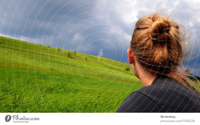 Zukunftsblick Mensch feminin Junge Frau Jugendliche Kopf Haare & Frisuren Ohr Rücken Hals Schulter 1 18-30 Jahre Erwachsene Natur Landschaft Himmel Wolken