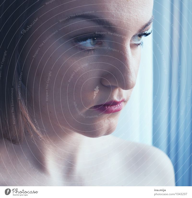 Gesicht einer jungen Frau Mensch feminin Junge Frau Jugendliche Erwachsene 1 18-30 Jahre 30-45 Jahre beobachten Blick Coolness kalt seriös stark blau weiß