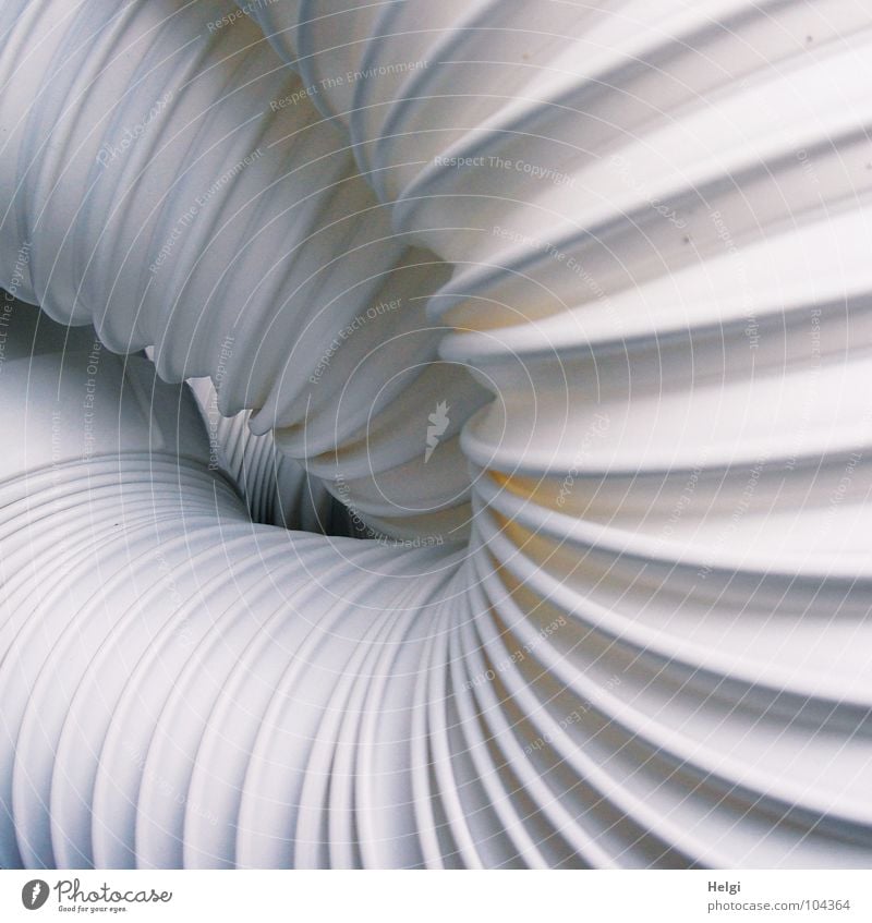 Detail eines ziehharmonieartigen weißen Abluftschlauches gefaltet Falte durcheinander Schlauch heiß Luft kühlen kalt Draht Zusammensein Wohnung Raum angenehm