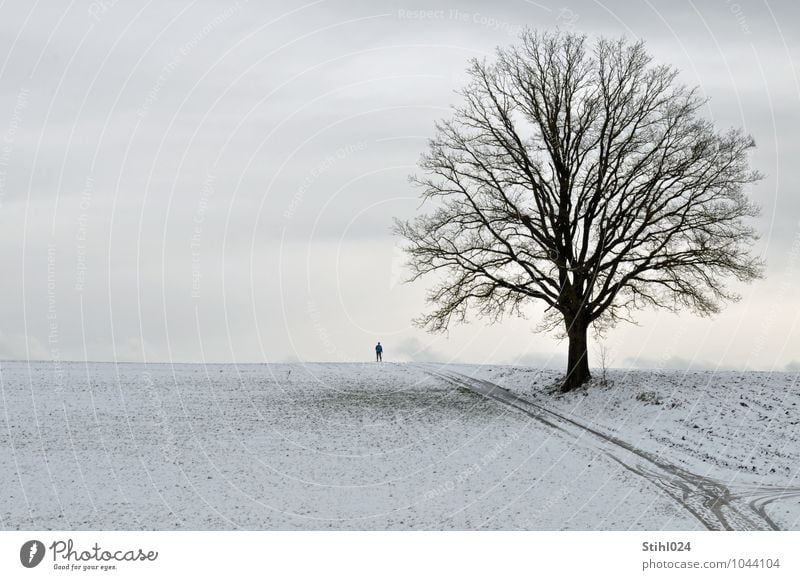 Winterspaziergang # 60 Ausflug Schnee Winterurlaub wandern Spaziergang 1 Mensch Natur Landschaft Urelemente schlechtes Wetter Hügel Erholung frieren kalt grau