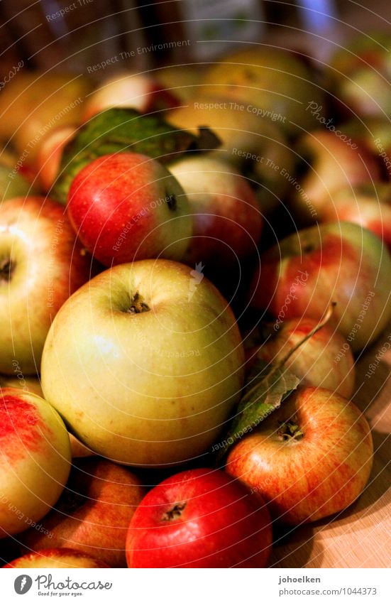 Kugellager II Lebensmittel Apfel Frucht Ernährung Picknick Bioprodukte Vegetarische Ernährung Natur Diät kaufen Fitness frisch Gesundheit nachhaltig natürlich
