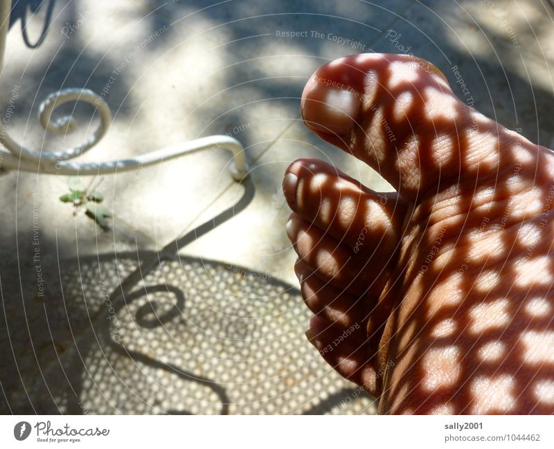 Musterschatten... Haut Sonnenbad Tisch Fuß Zehen 1 Mensch leuchten ästhetisch exotisch braun Design Netzwerk Irritation Strukturen & Formen Gartenmöbel