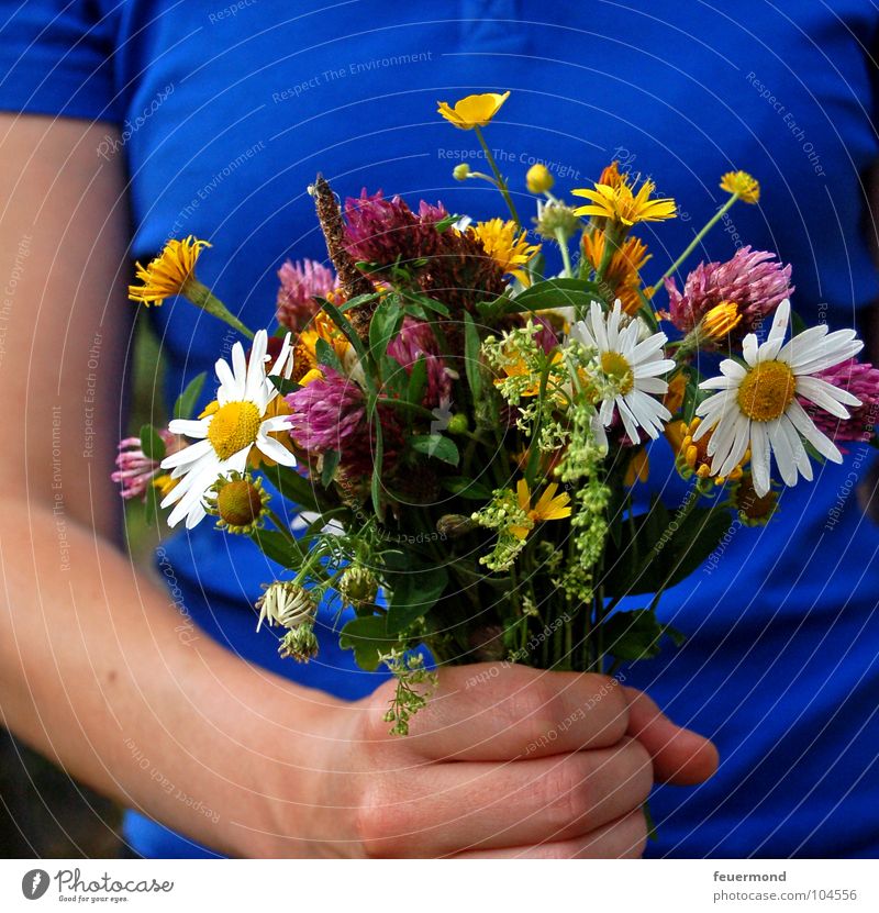 Für DICH! Blumenstrauß Wiese Wiesenblume Freude Glückwünsche Geschenk geben Einladung einladen Geburtstag Wilblumen Ernte eingeladen Muttertag