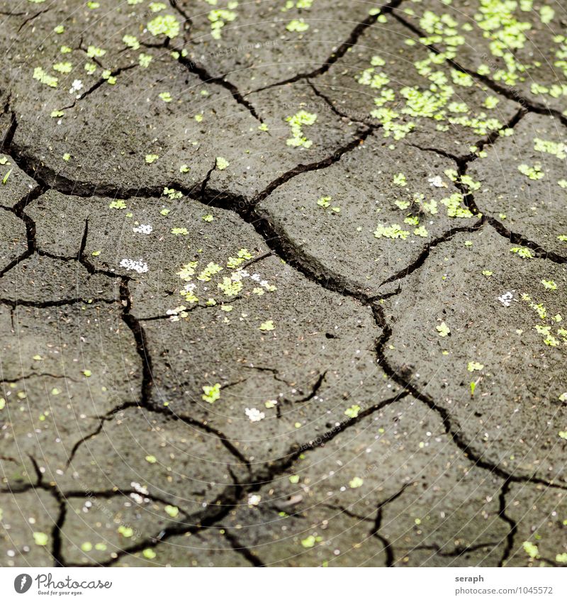 Dürre Wüste Erde Natur Landschaft trocken Muster Boden Schlamm Konsistenz Oberfläche natürlich Hintergrundbild Meer Umwelt Wetter verschrumpelt Teich entwässern
