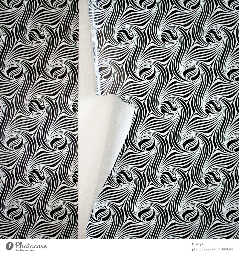 retro I losgelöst Stil Tapete Tapetenmuster Mauer Wand alt authentisch kaputt schwarz weiß ästhetisch Design Missgeschick Vergangenheit Wandel & Veränderung