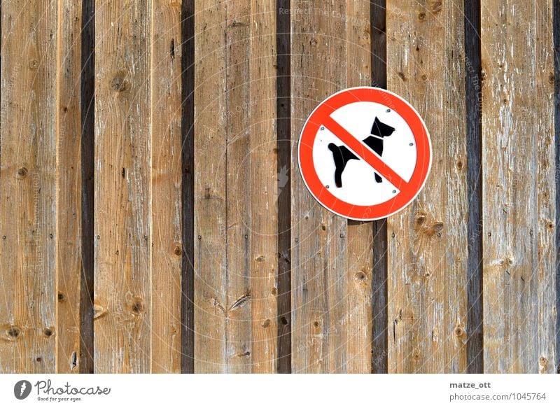 Hier bitte keine Hunde!! Mauer Wand Tier Haustier 1 Holz Verbote Holzwand Scheune Schilder & Markierungen Verbotsschild Gassi gehen Schäferhund Pudel Terrier