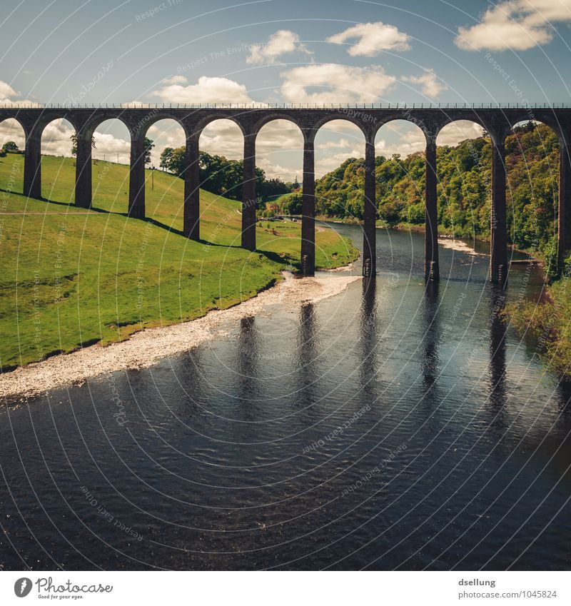 lange Beine sind ja schön... Natur Landschaft Himmel Wolken Wiese Wald Fluss Schottland Brücke Bauwerk Sehenswürdigkeit alt Bekanntheit groß hoch Wärme blau