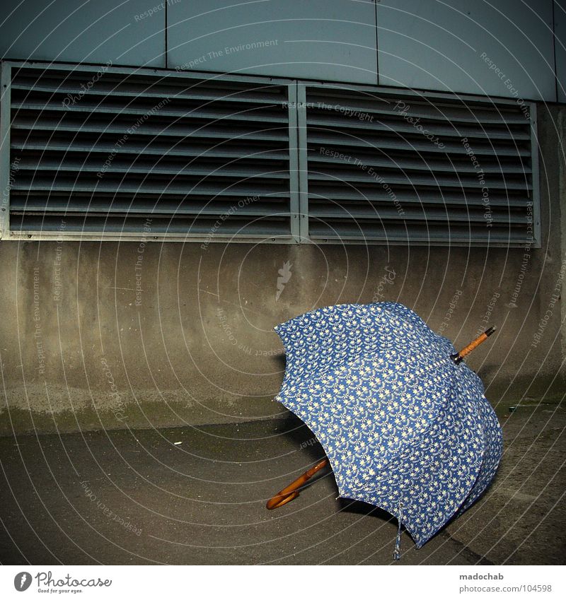 MY UMBRELLA [K*LAB*] Asphalt Hinterhof Regenschirm Dinge Tatwaffe Unwetter Sturm Leidenschaft vorhersagen trashig Muster retro Schutz dunkel gefährlich Wetter