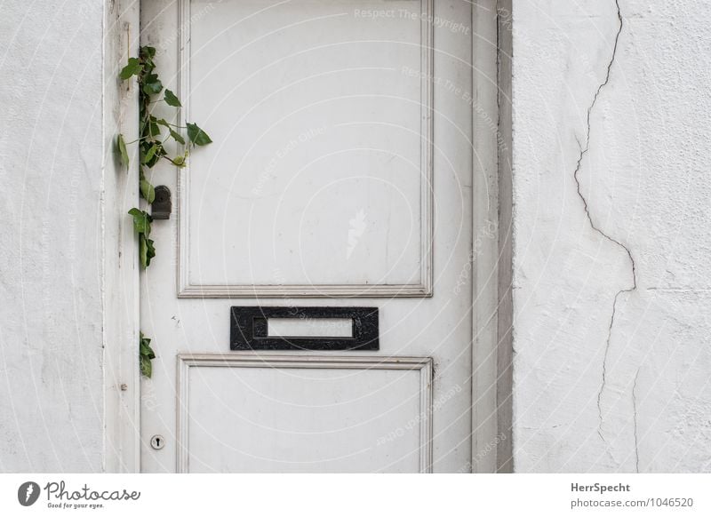 Visitors welcome Wohnung London Altstadt Haus Einfamilienhaus Mauer Wand Tür Briefkasten alt trist weiß Eingang Eingangstür Einsamkeit Kletterpflanzen Spalte