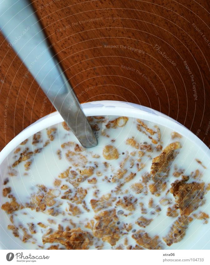 für mic: frühstück ist serviert Frühstück Ernährung Gesundheit frisch Milch Milcherzeugnisse Nährstoffe Vollmilch Cornflakes lecker Tisch Holztisch Zerealien