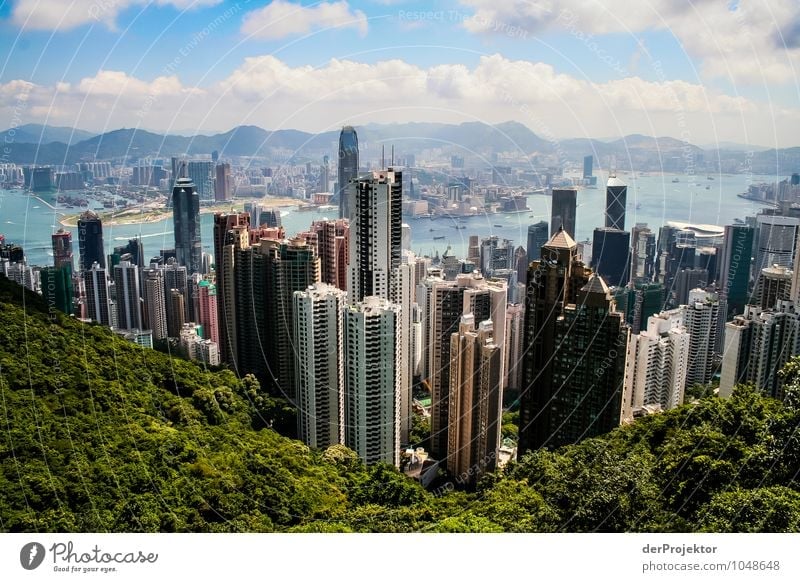 Eine seltene Sicht heutzutage in Hongkong Ferien & Urlaub & Reisen Tourismus Ausflug Ferne Freiheit Umwelt Natur Landschaft Sommer Baum Wald Hügel
