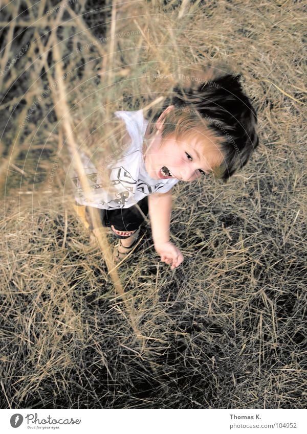 Heuschlacht. Kind Junge Spielen toben Schlacht hochwerfen Gras Stroh trocknen Freude fun bewerfen Natur rasenmähen abgemäht Bewegung Außenaufnahme