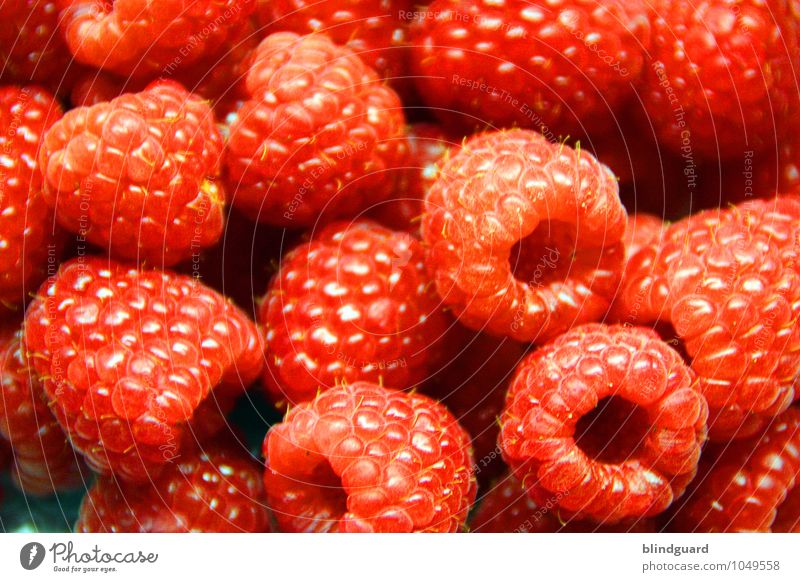Raspberry Beret Lebensmittel Frucht Bioprodukte Vegetarische Ernährung Diät frisch Gesundheit lecker süß blau rot Himbeeren Samen Dessert Farbfoto Nahaufnahme