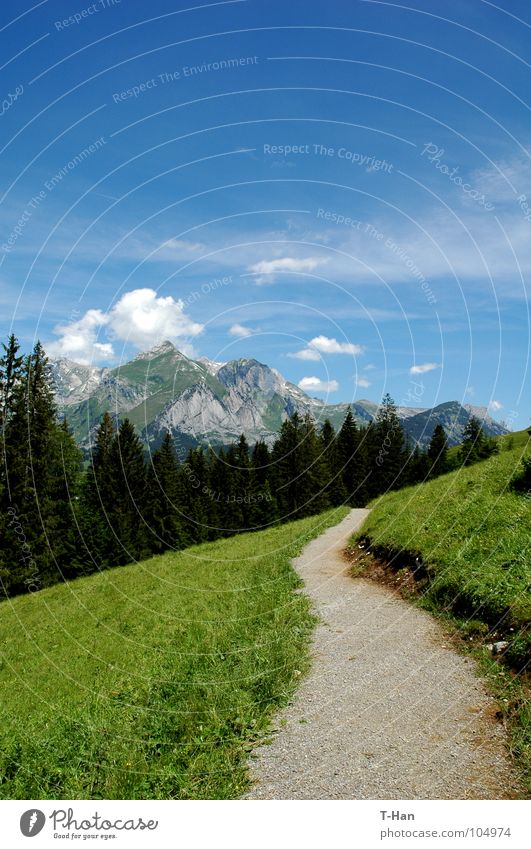 path Schweiz Berge u. Gebirge blue clouds lawn grass snow slope view Alps mountain