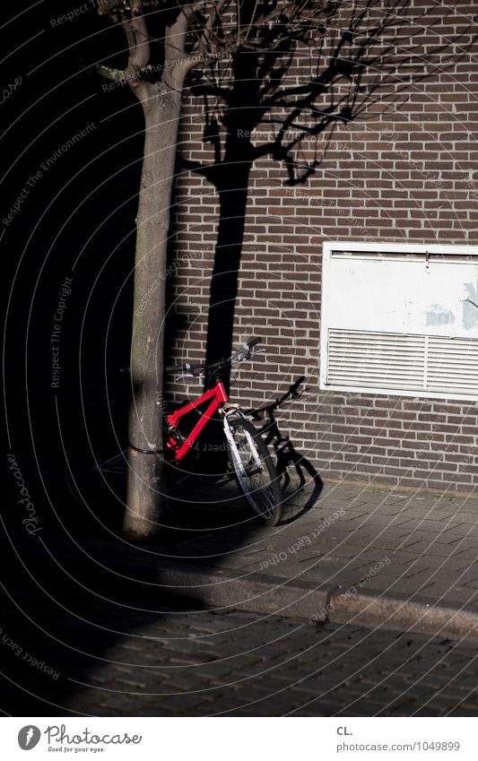 fahrräder sind schöner Fahrradfahren Schönes Wetter Baum Haus Mauer Wand Verkehr Verkehrsmittel Verkehrswege Straßenverkehr Wege & Pfade Kopfsteinpflaster rot