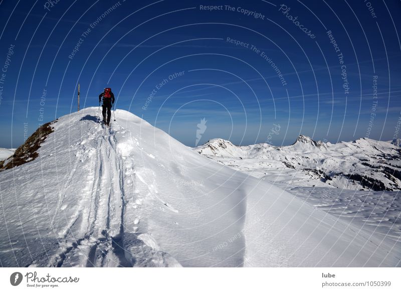 Skitour Wintersport Skifahren 1 Mensch Umwelt Natur Landschaft Schnee Alpen Berge u. Gebirge Gipfel Schneebedeckte Gipfel Abenteuer kalt Bregenzerwald