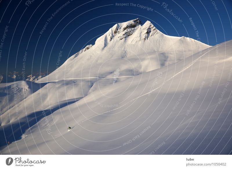 Einsamer Freerider Sport Wintersport Skier Umwelt Natur Landschaft Wolkenloser Himmel Schönes Wetter Alpen Berge u. Gebirge Gipfel Schneebedeckte Gipfel blau