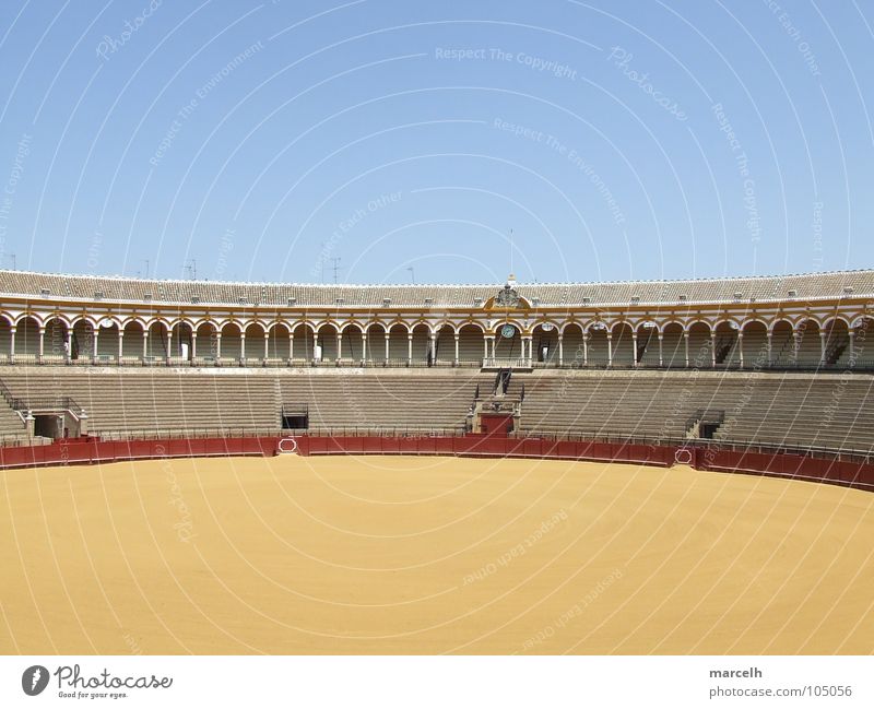 Plaza de Toros Stierkampf Bulle Sevilla Sitzgelegenheit rund Stierkämpfer Spanien Sommer Europa Andalusien rot gelb Wahrzeichen Denkmal Arena blau Sand