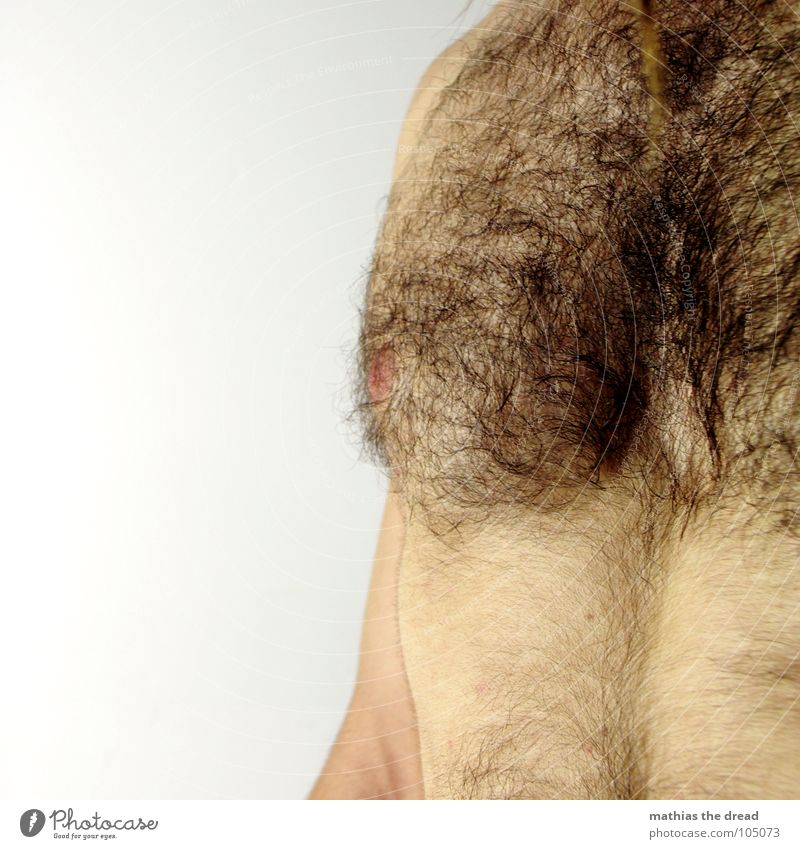 Brusthaar Brustbehaarung Physik mehrere dunkel unrasiert Oberkörper Mann maskulin Reifezeit Haare & Frisuren Wärme viele Wildtier Körper Haut ausschnit Arme