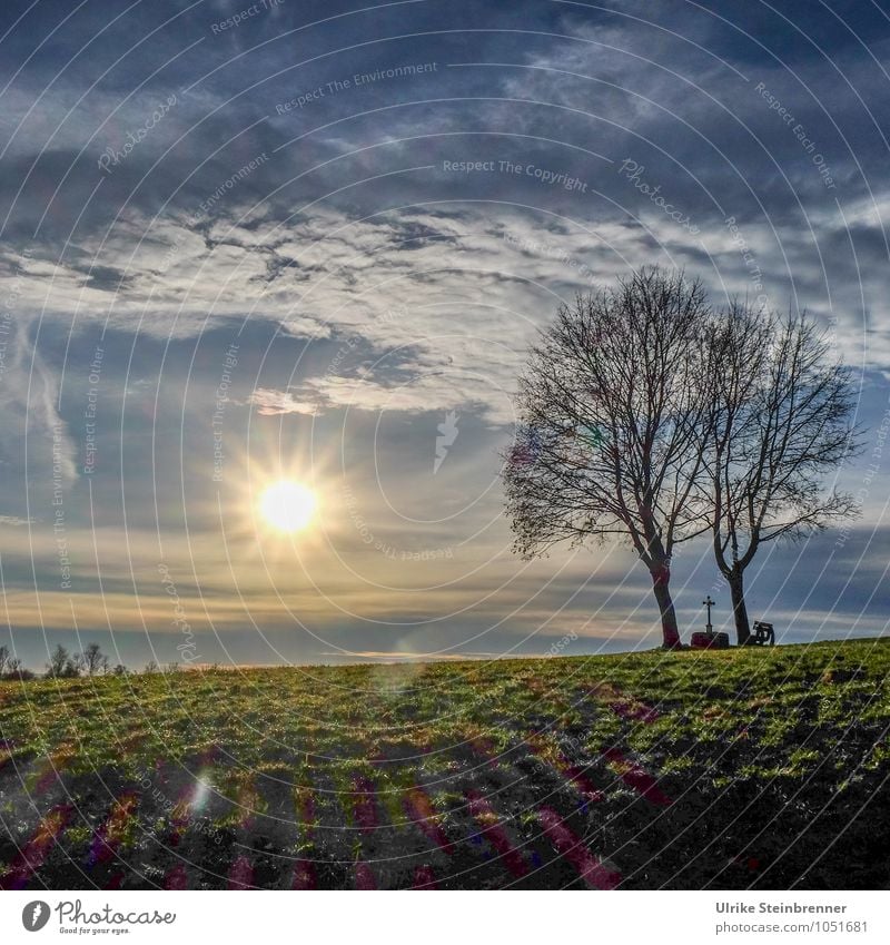 Wetter | Tag der Sonne Umwelt Natur Landschaft Erde Luft Himmel Wolken Horizont Frühling Winter Schönes Wetter Pflanze Baum Gras Wiese Feld Kreuz Erholung