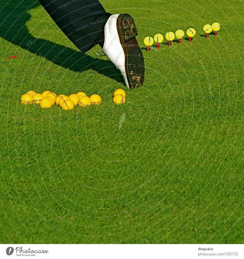 Golf Pro Schuhe Golfschuhe Gras grün ruhig perfekt Wiese Golfer Sport Spielen Freizeit & Hobby Rasen Ball professional Tee stollenschuh fairway golftee holztee