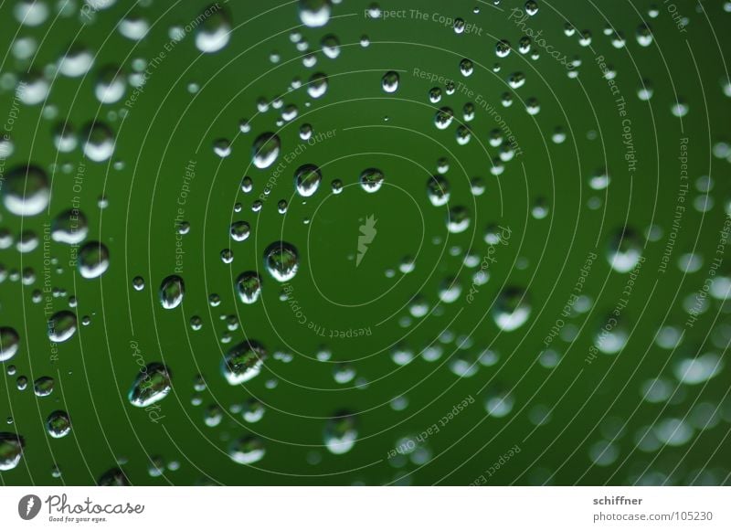 Perlengestöber Wassertropfen hydrophob nass Regen grün Fensterscheibe Pflanze Schatten Makroaufnahme