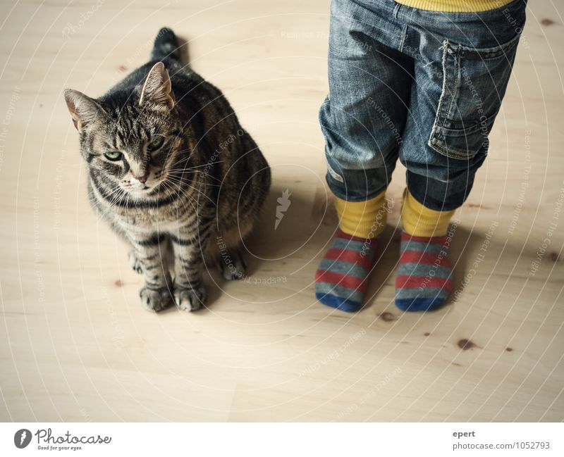 Auf Streife(n) Kind Kindheit Jeanshose Strümpfe Tier Katze beobachten warten Fröhlichkeit Vertrauen Zusammensein Neugier Erwartung unschuldig Zusammenhalt