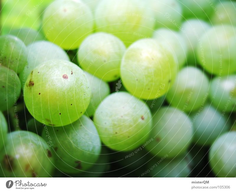 green berry Weintrauben Nahaufnahme viele grün süß fruchtig Vegetarische Ernährung Vegane Ernährung Rohkost Gesunde Ernährung Weinlese