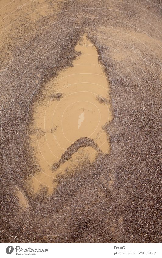 Gestatten: Pfützenmann maskulin Mann Erwachsene Gesicht Natur Sand Wasser Blick Flüssigkeit braun Traurigkeit Einsamkeit Farbfoto Außenaufnahme Tag