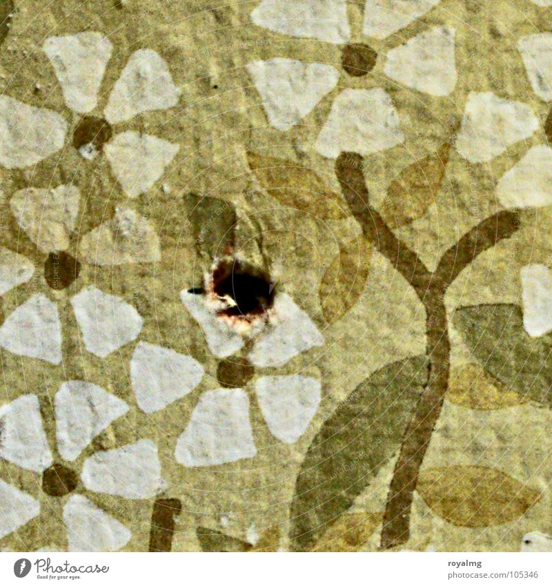 blümchentapete mit loch grün weiß braun grau Tapete Wand Blume retro Handwerk verfallen alt