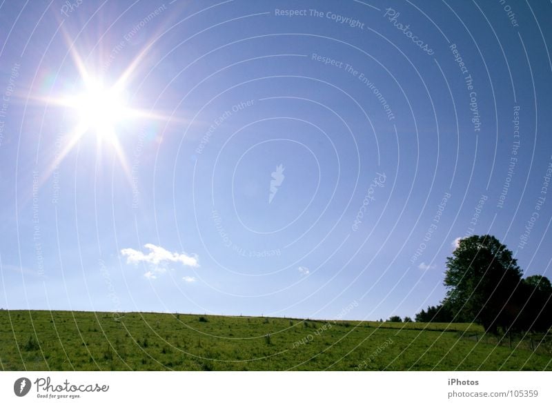 SunStar Himmel Wiese Gras Baum Sonne Wolken Verlauf Farbverlauf Gegenlicht Sommer sky sun Stern (Symbol) blau Freiheit Wetter Natur