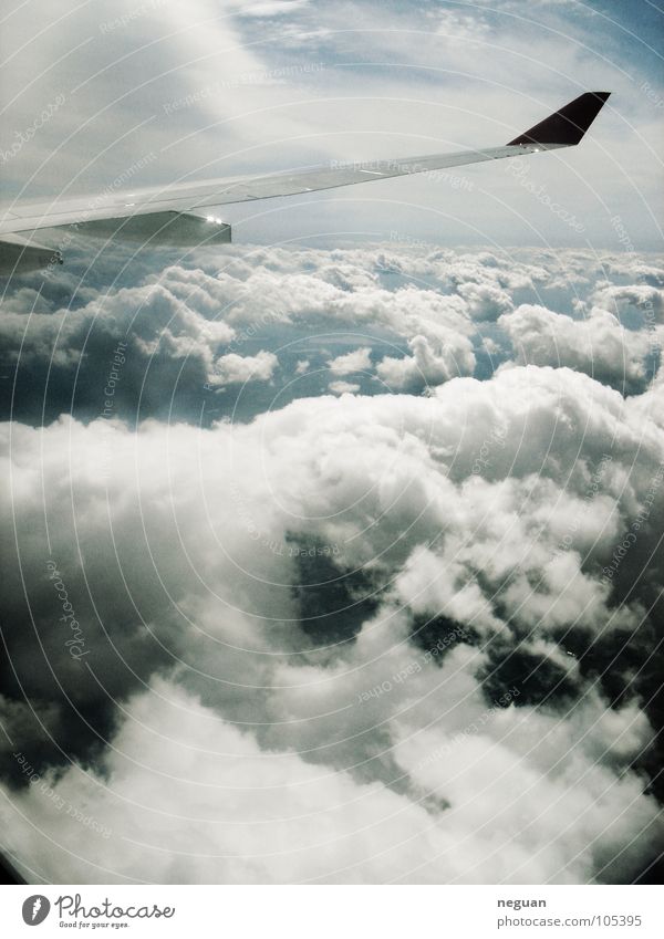 ueber den wolken 2 Flugzeug Maschine Wolken kalt weiß Luft abgehoben Luftverkehr Ferien & Urlaub & Reisen Flügel Metall Erde Schnee