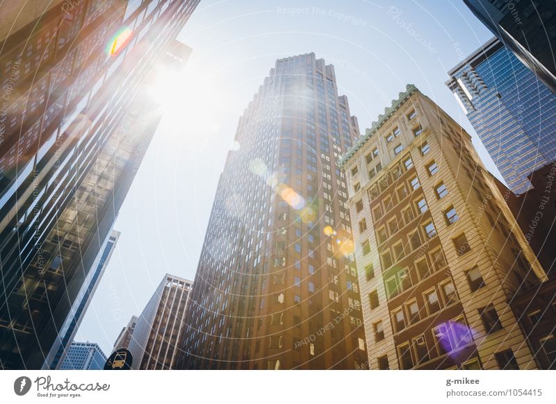 New York City Stars and Stripes Stadt Hochhaus Gebäude gigantisch groß modern Wärme Farbfoto Außenaufnahme Tag Gegenlicht Starke Tiefenschärfe Froschperspektive