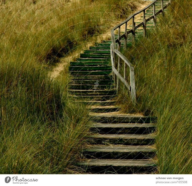 STILLE Meer See Holz grün Gras Natur Strand geschwungen Nagel Küste Erde Sand Nordsee Stranddüne Treppe Wege & Pfade aufwärts Geländer Ziel wohin? mare sea