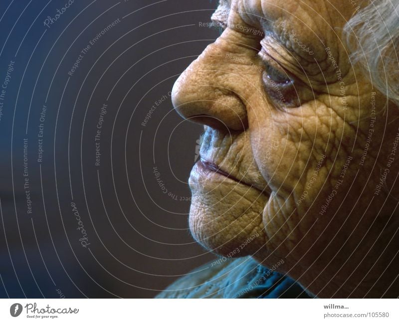 Weißhaarige Seniorin mit vielen Runzeln erinnert sich Frau Ruhestand Alter Mensch Weiblicher Senior Großmutter Kopf Gesicht alt Weisheit Erfahrung Lebensalter