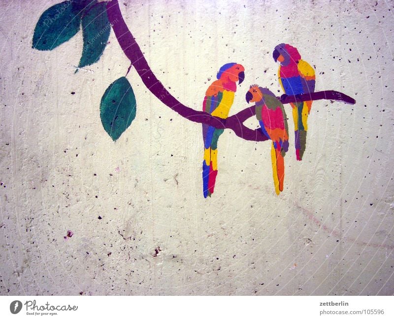 Papageien Papageienvogel Vogel Urwald Beton Wand Gemälde Kinderzeichnung Bildende Kunst Alaska Panoramafreiheit Detailaufnahme Dekoration & Verzierung exotisch