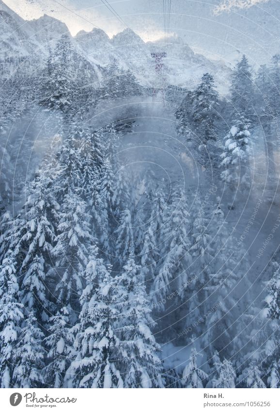 AbWärts II Ferien & Urlaub & Reisen Ausflug Umwelt Natur Landschaft Wolken Horizont Winter Schönes Wetter Eis Frost Schnee Wald Alpen Berge u. Gebirge kalt