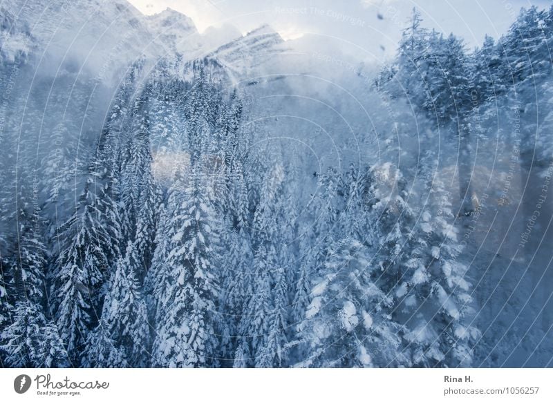 AbWärts Ferien & Urlaub & Reisen Umwelt Landschaft Winter Schnee Baum Wald Alpen Berge u. Gebirge kalt Glasscheibe abwärts Fensterscheibe Gondellift Aussicht