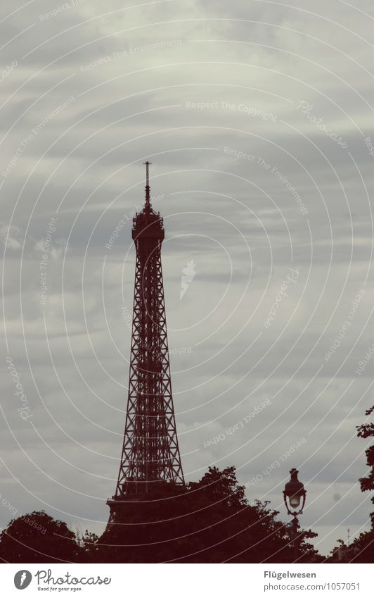 Pariser Ansichten 5 Sightseeing Städtereise Hauptstadt Skyline überbevölkert Bauwerk Gebäude Architektur Sehenswürdigkeit Wahrzeichen Tour d'Eiffel Fernweh