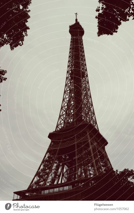 nur ein Turm Seine Paris Frankreich Tour d'Eiffel Eifel Aussicht Sehenswürdigkeit Franzosen Höhepunkt Ausflug Wasserfahrzeug Schifffahrt Rundfahrt Brücke Kondom