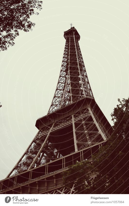 Nur ein Turm Seine Paris Frankreich Tour d'Eiffel Eifel Aussicht Sehenswürdigkeit Franzosen Höhepunkt Ausflug Wasserfahrzeug Schifffahrt Rundfahrt Brücke Kondom