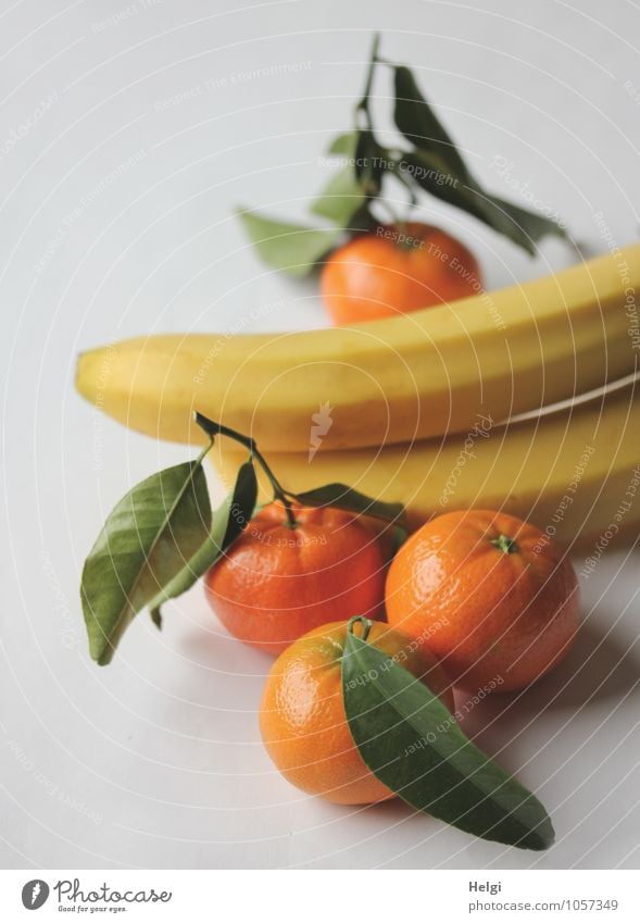 Obsttag... Lebensmittel Frucht Banane Mandarine Ernährung Bioprodukte Vegetarische Ernährung liegen frisch Gesundheit lang lecker natürlich rund gelb grün