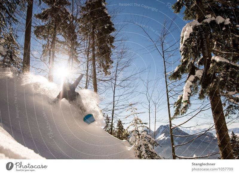 Powder run Sport Wintersport Sportler Snowboard Freestyle maskulin 1 Mensch Umwelt Natur Himmel Sonne Sonnenlicht Pflanze Baum Berge u. Gebirge Gipfel